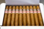 RAFAEL GONZALEZ 88 CIGAR (EX. ASIA PACIFICO 2016) - Box of 10 - Image 3