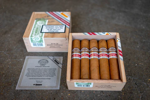 RAFAEL GONZALEZ NORTH STAR CIGAR (EX. NORDIC AND BALTIC 2017) - Box of 10 - Image 2