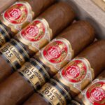 Punch Princesas Edición Limitada 2025 — Limited Edition Cuban Masterpiece